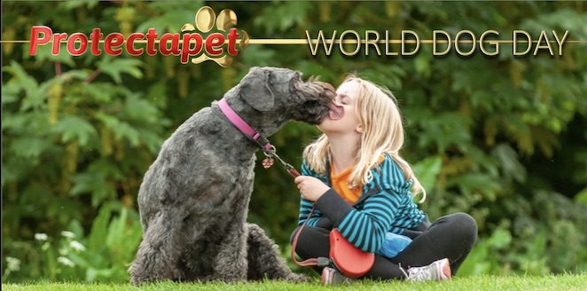 Dog licking a young girl celebrating World Dog Day